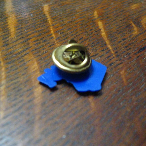 🇺🇲 Iowa Map Vintage Lapel Pin - Picture 4 of 4